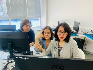 �����������